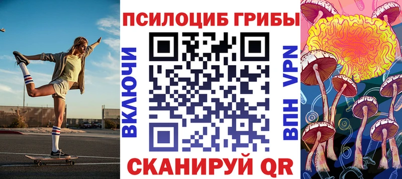 купить   Дмитровск  Галлюциногенные грибы Psilocybe 